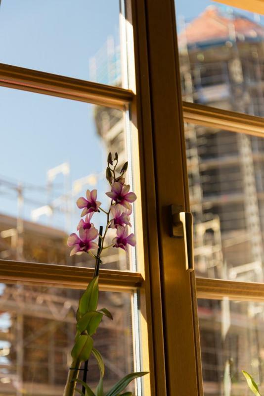 Apartement 1 Grosse Bruedergasse Bautzen Eksteriør billede